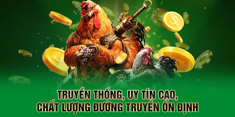Truyền thống, uy tín cao, chất lượng đường truyền ổn định